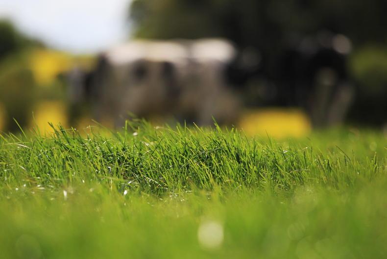 New campaign to challenge 'old man in flat cap' farming stereotype