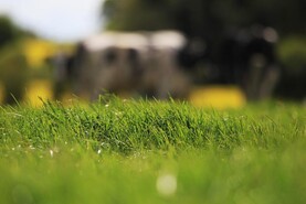 New campaign to challenge 'old man in flat cap' farming stereotype