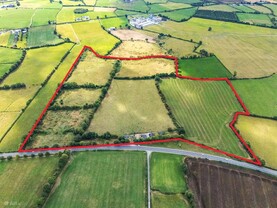 Offaly: 55ac residential farm is a good prospect