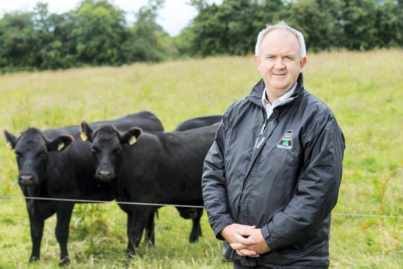 Certified Irish Angus producer group achieves national accreditation