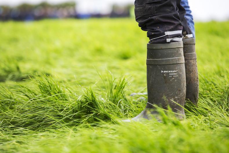New chief operations officer appointed at Teagasc