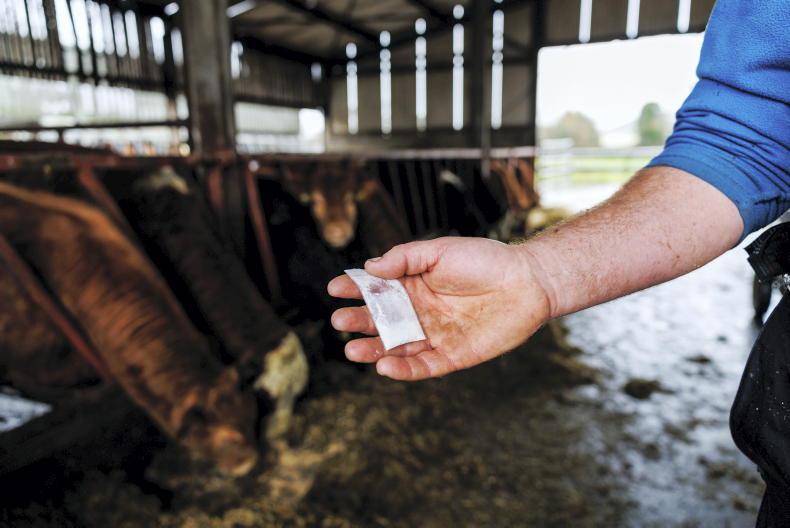 Cocaine use ‘normalised’ among young farmers 