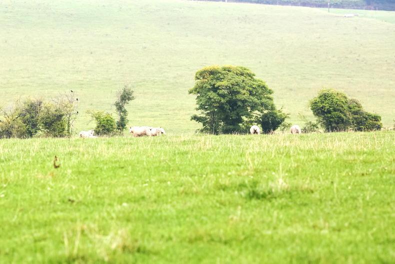 Weekend weather: mild but wet and breezy conditions ahead