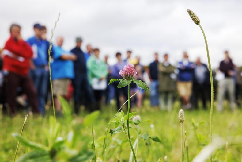 Teagasc FutureBeef farm walk postponed in Clare