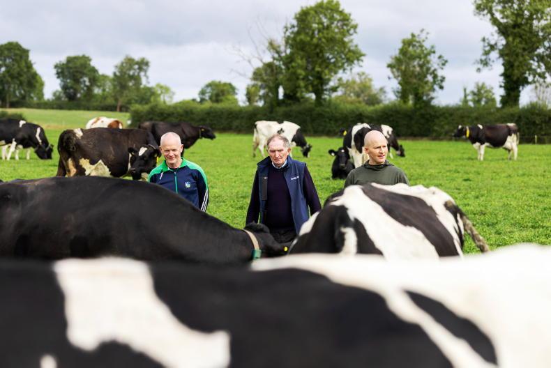 No one seems in charge, but three generations get everything done on dairy farm