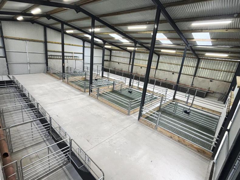 Key design elements when building a slatted sheep shed