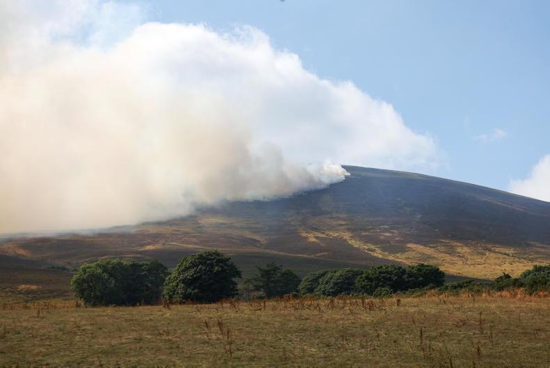 Farmers must not be penalised following Slievenamon wildfires