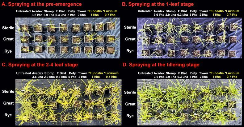 Maximise  control of problem grass weeds