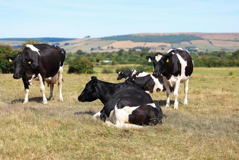 Drought readiness in Food Vision 2030 revamp