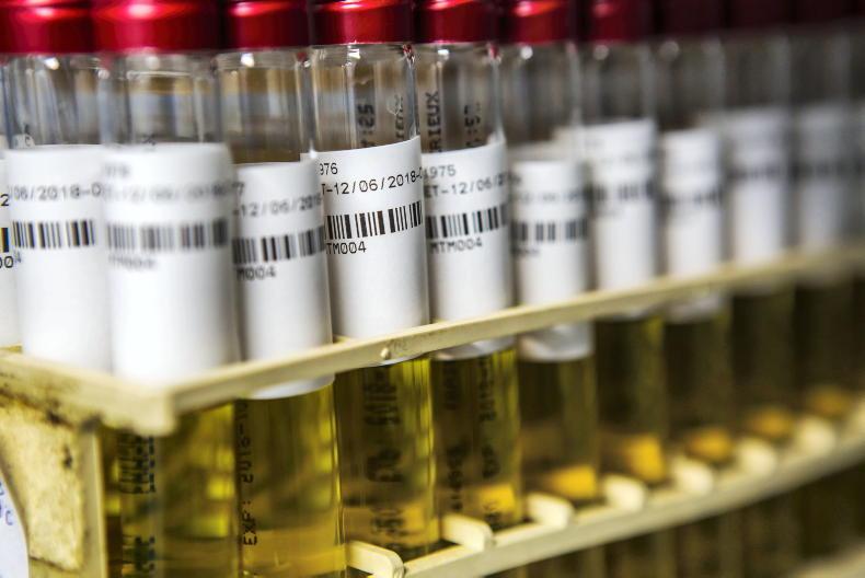 Department 'satisfied' it has sufficient bluetongue testing capacity