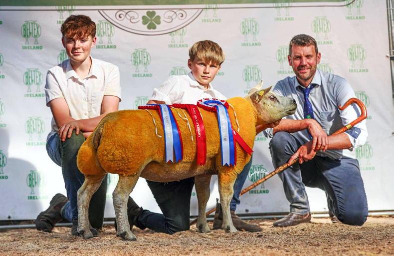 Championship clean sweep for Balnakill Flock at Beltex Premier Show and Sale