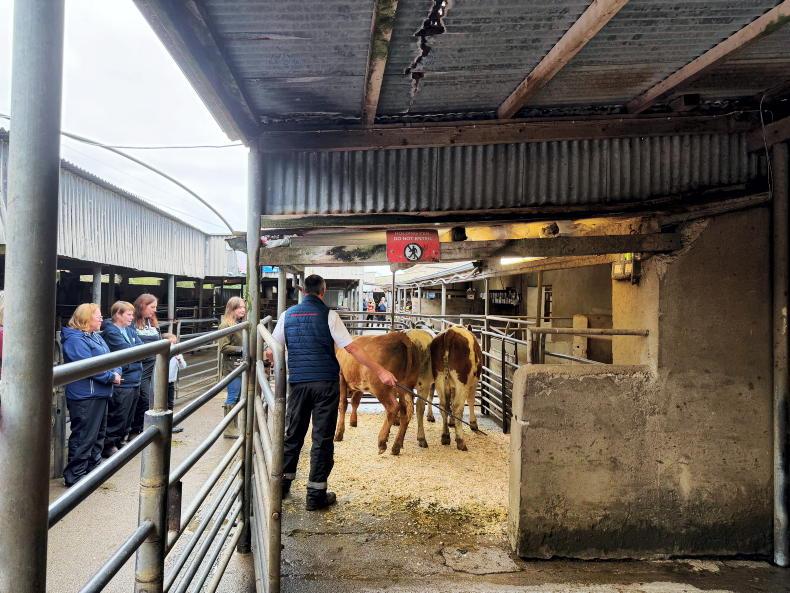 Women farmers get hands-on training at safety event in Leitrim