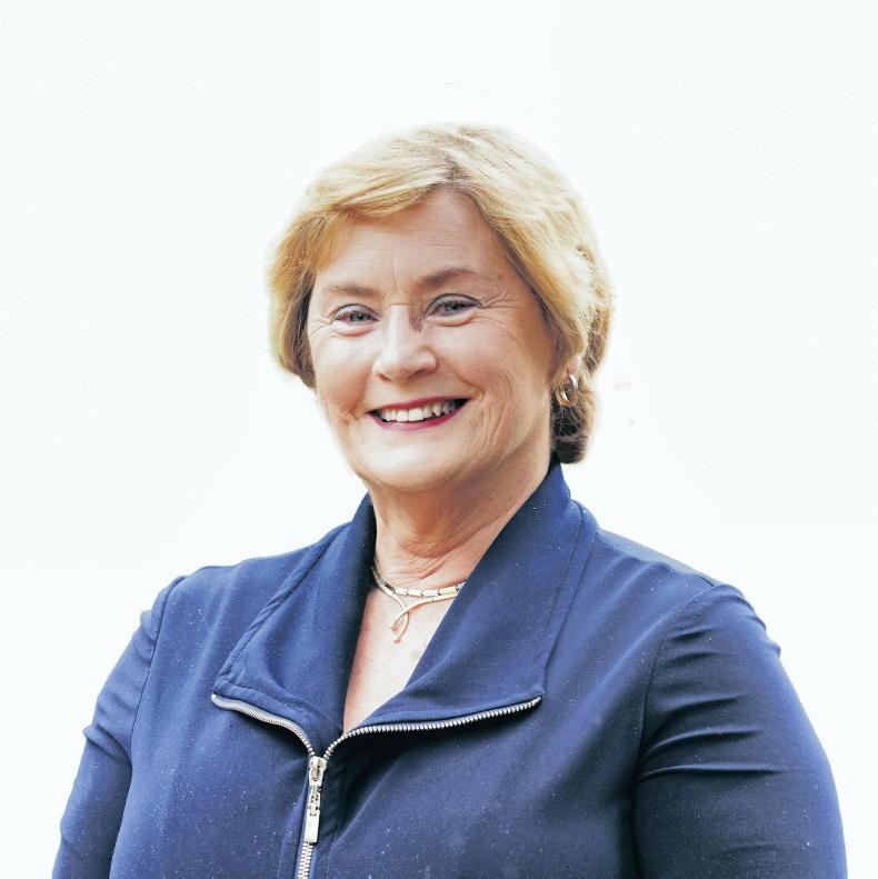 Mighty craic rising to the challenge at Dairy Women Ireland DIY course