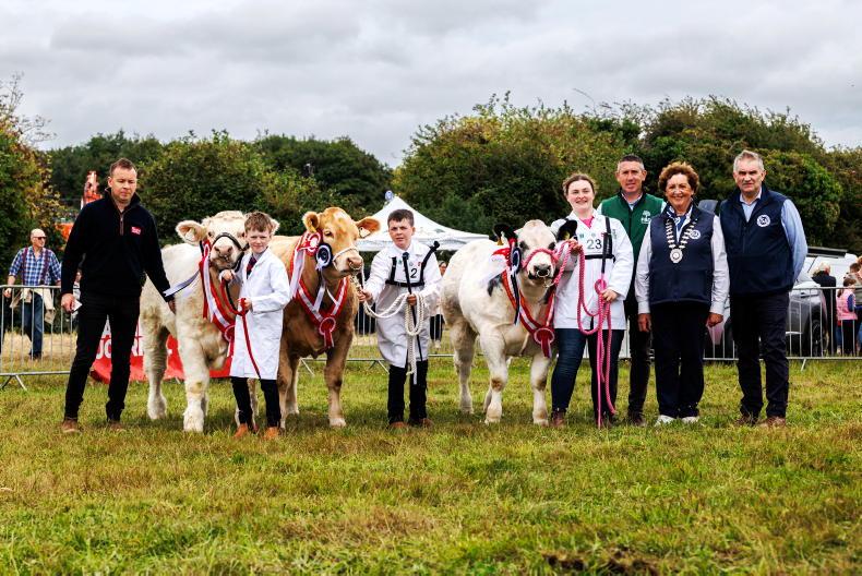 Watch: young stock persons raise the bar high at Royal Meath Show