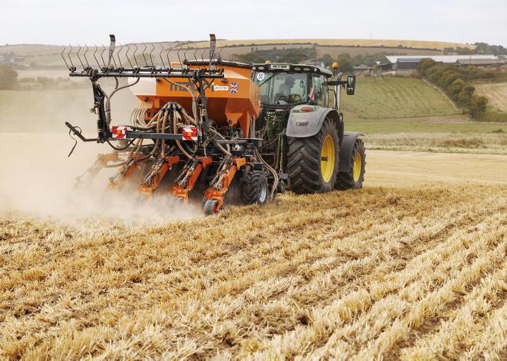 Winter oilseed rape area climbing significantly
