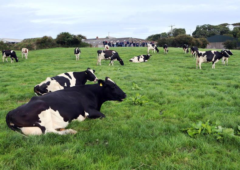 Co Antrim herd heading in the right direction