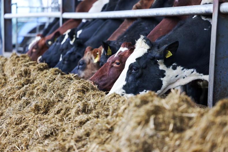 Drought effects show grass growth 412kg below five-year average
