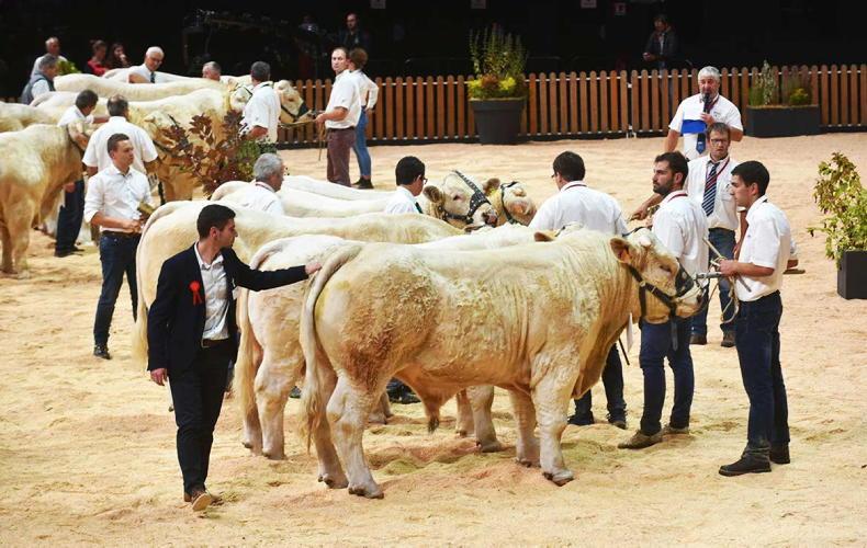 Sommet de l’Élevage 2026: shaping the future of sustainable livestock farming