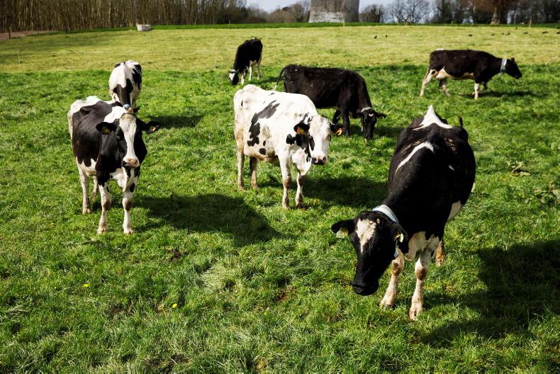 Inside Dairy Podcast: making the most of normal grass growth