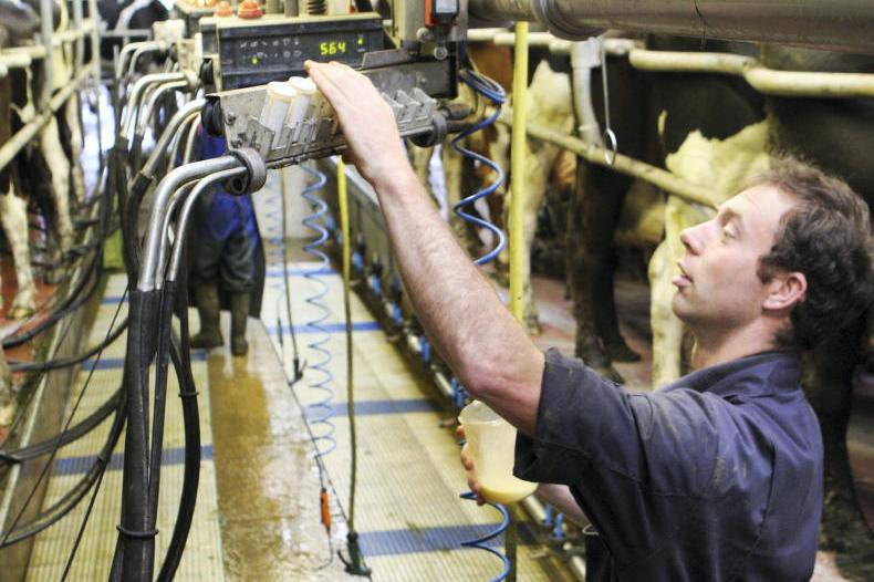 Dairy Management: managing SCC and reviewing the breeding season.  