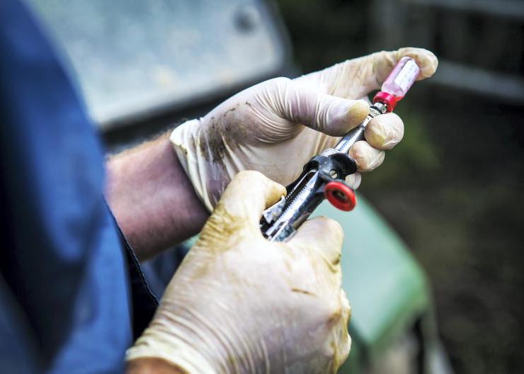 DAERA awards £2m TB contract for vet advice