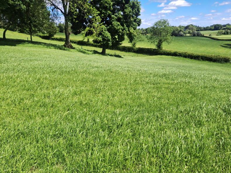 NI working group publishes land report