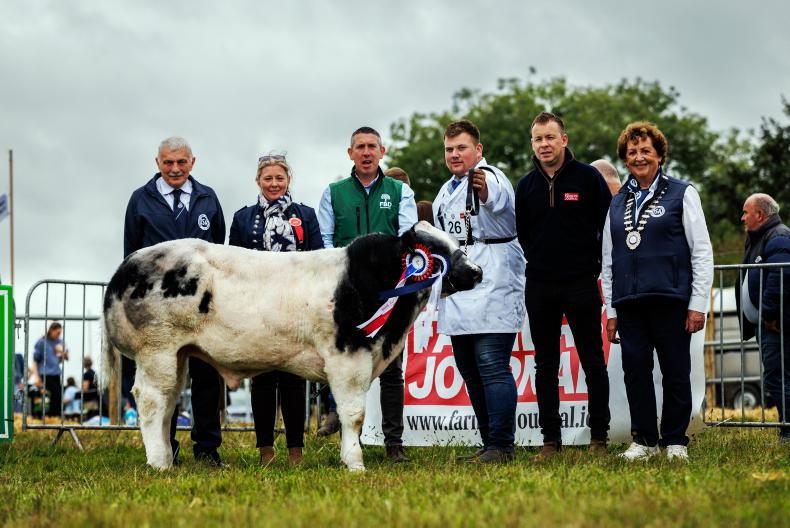 Editorial: best of the best on show in Trim 