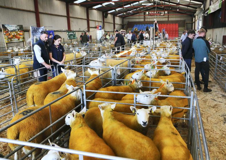 Northern Ireland diary of events