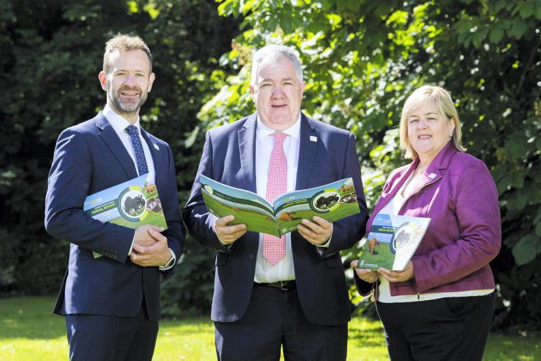 AHI assessing voluntary IBR programme