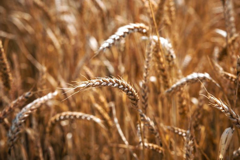 Market Digest: stories from around the world