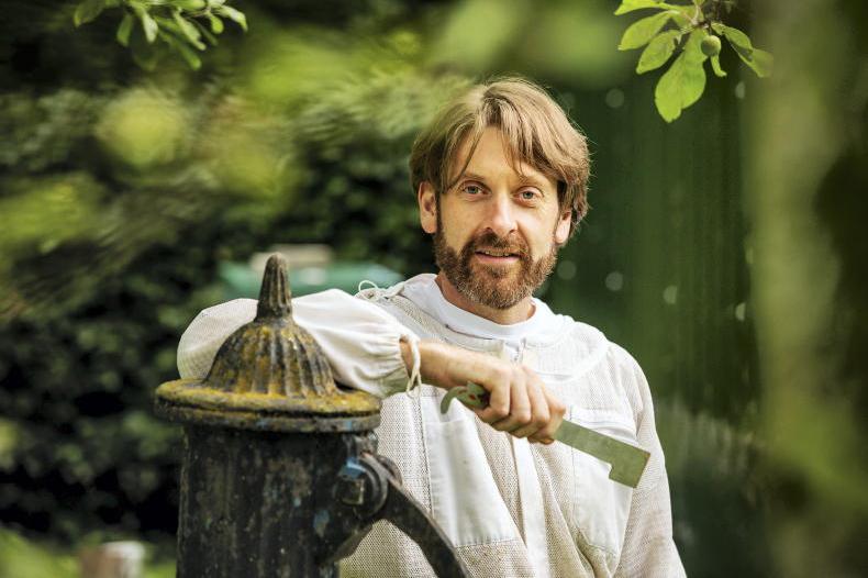 The honey trap: a sweeter deal for Irish producers