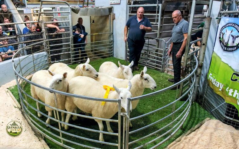 Positive tone, but lamb quotes stuck in gear