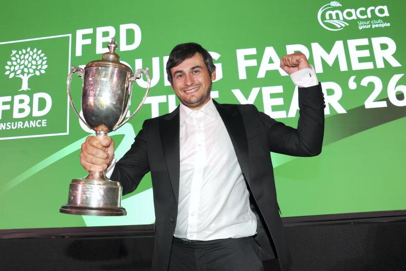 Covid cucumber project that 'got out of hand' leads to Young Farmer of the Year 