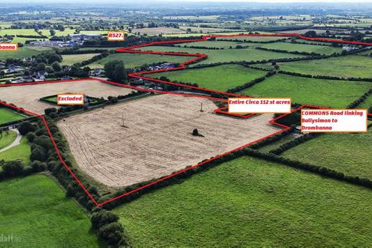 Frenzied Golden Vale auction sees bidders bidding against themselves