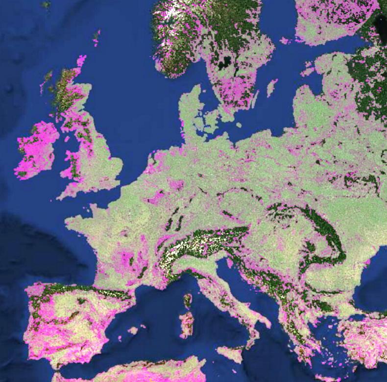 Research reveals 1.6 billion crop fields worldwide