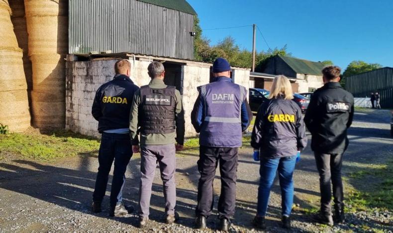Gardaí enact major clampdown on criminal horse trafficking network