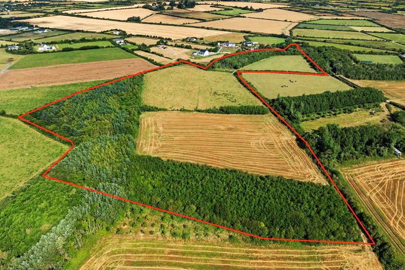 Organic farm auction to fund new church roof in Co Wexford