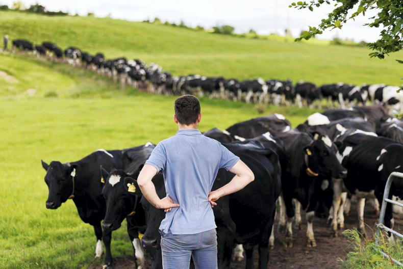 Key considerations for young farmers for farm business planning