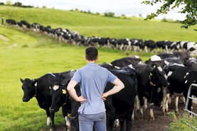 Key considerations for young farmers for farm business planning