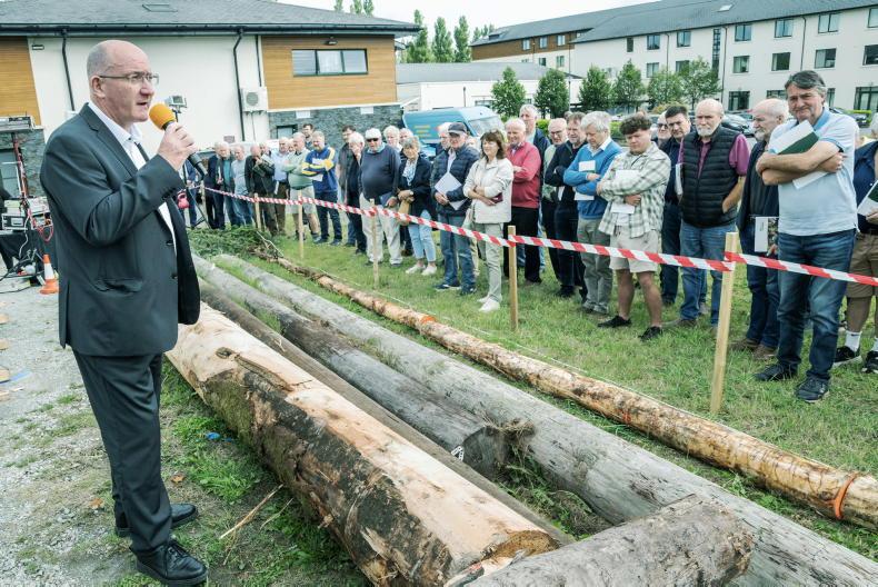 Maximising the long-term value of your forest