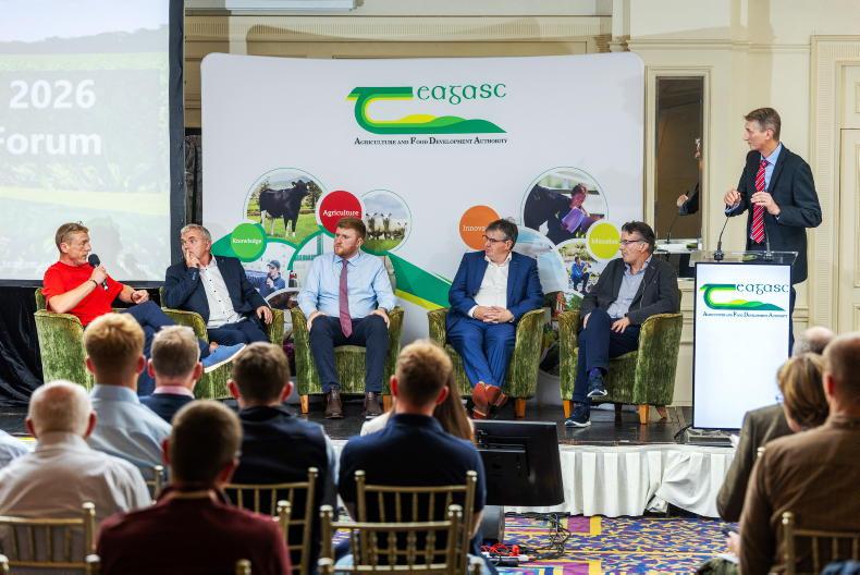 Are there premium markets in grain at present?