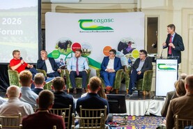 Are there premium markets in grain at present?