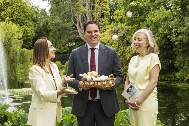 Last call for applications for programme supporting rural female entrepreneurs