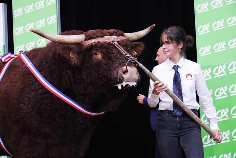 Sommet - a toolbox for tomorrow’s livestock farmers