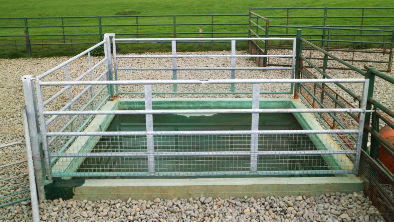 Vet's Corner: lameness as the performance killer