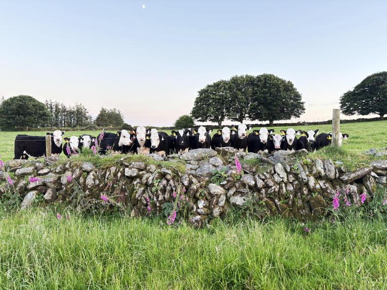 Role of female farmers put in the spotlight