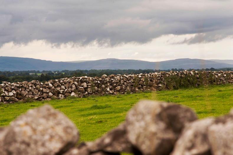 Pessimism sweeps farm sector but dairy farmers show hope