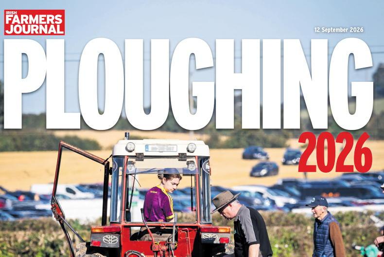 Ploughing 2026 LIVE: opening times, traffic and highlights as crowds arrive