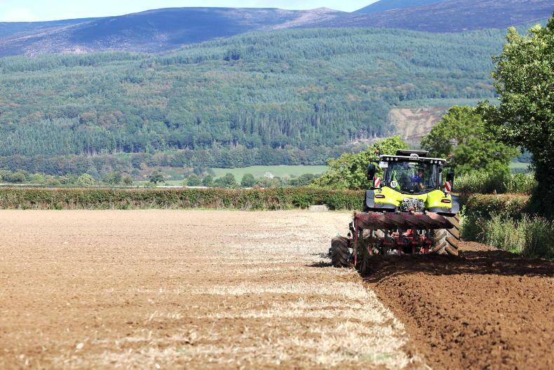 Tillage Management: rye, seed orders and beetles