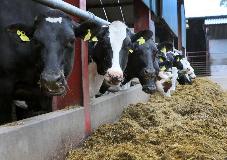Planning ahead for the next lactation